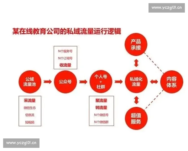 新手运营入门从何学起及所需学历与成长路径全面解析指南详细指导